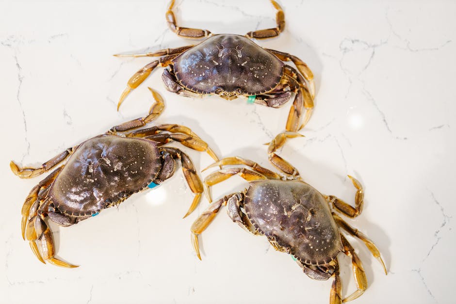 Crabs At Dusk: Traditional Night-time Crab Fishing In Japan